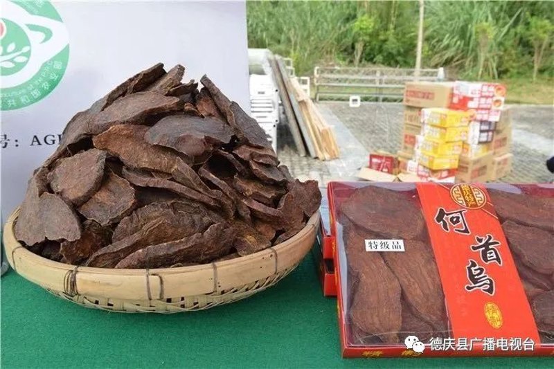 首乌制品