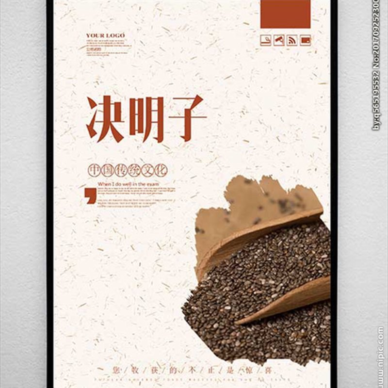 宠物营养补充剂：如何为你的爱宠选择最合适的？